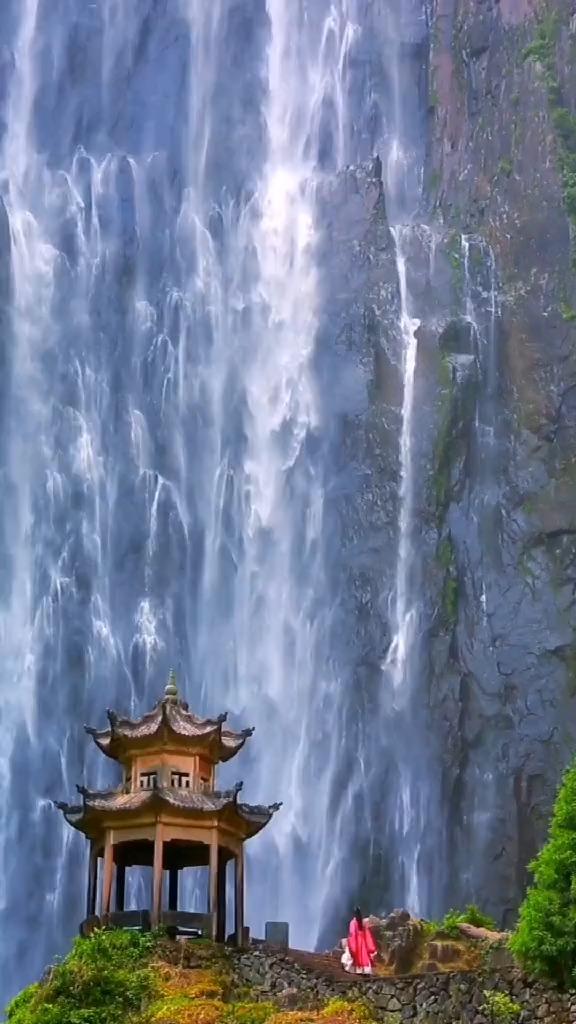 唯一的幸存者